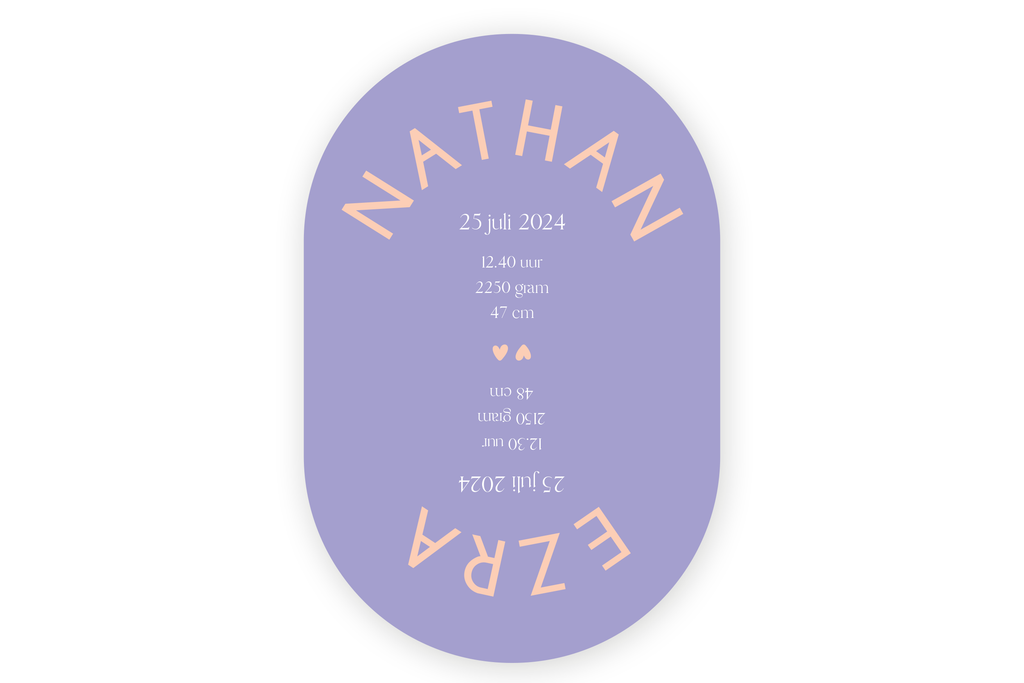 Geboortekaartje Nathan & Ezra - tweeling
