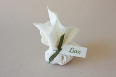 Doopsuikerzakjes en stof