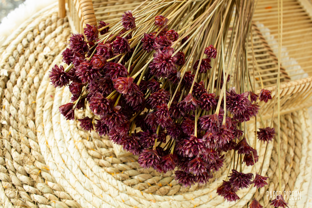 Hill flower plum - per bundel