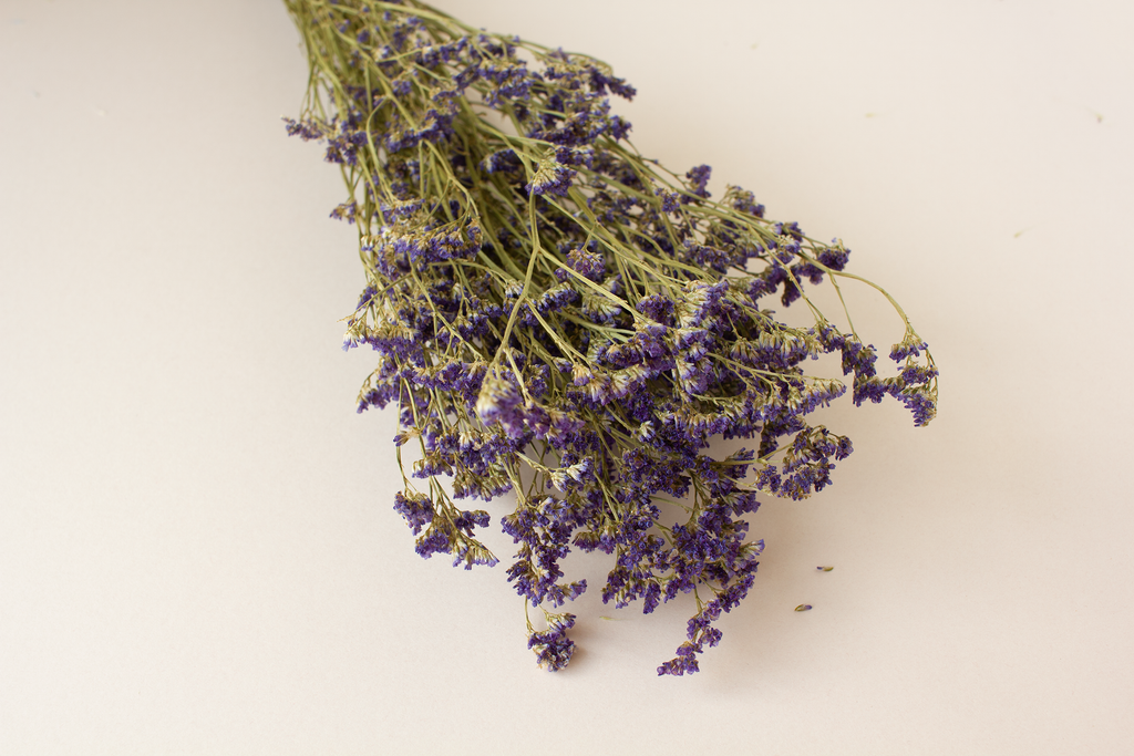 Limonium paars - per bundel