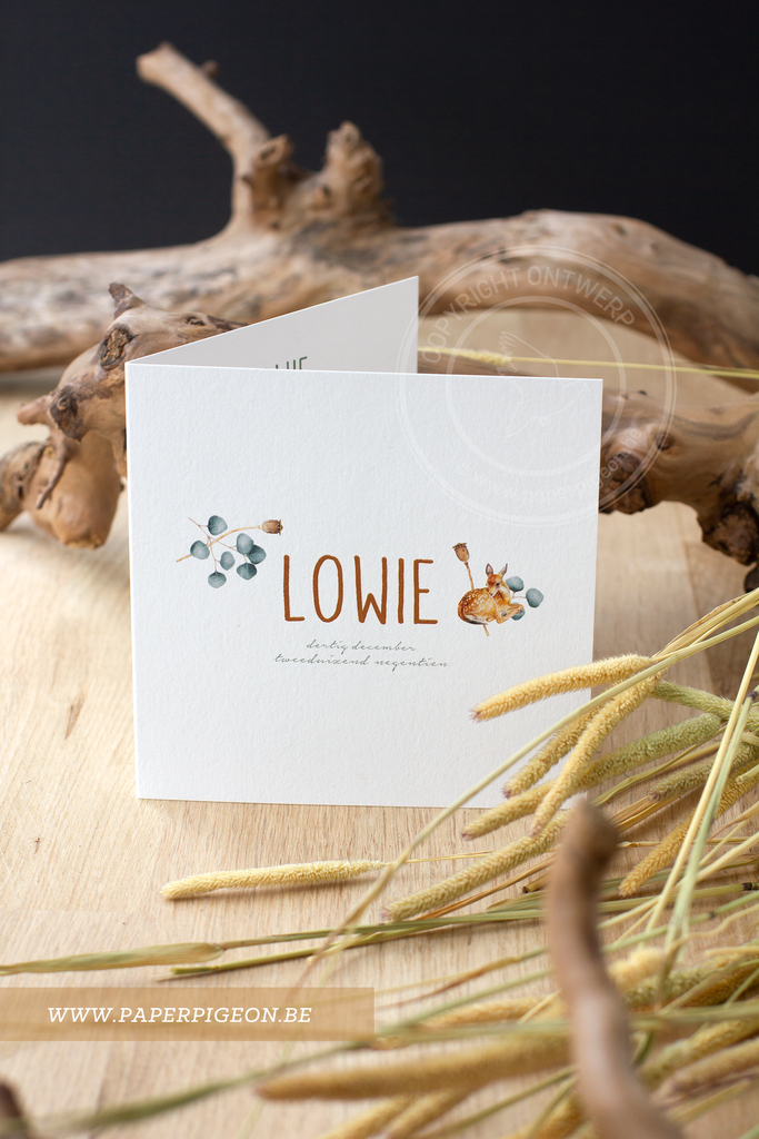 Geboortekaartje Lowie - hertje