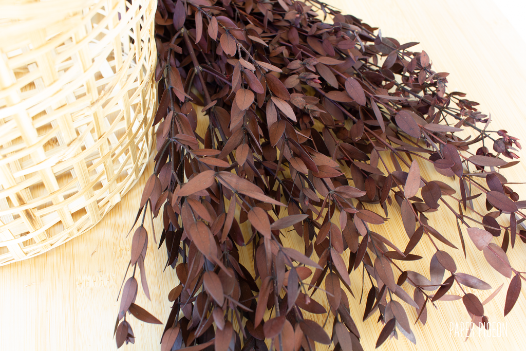 droogbloemen Eucalyptus blad