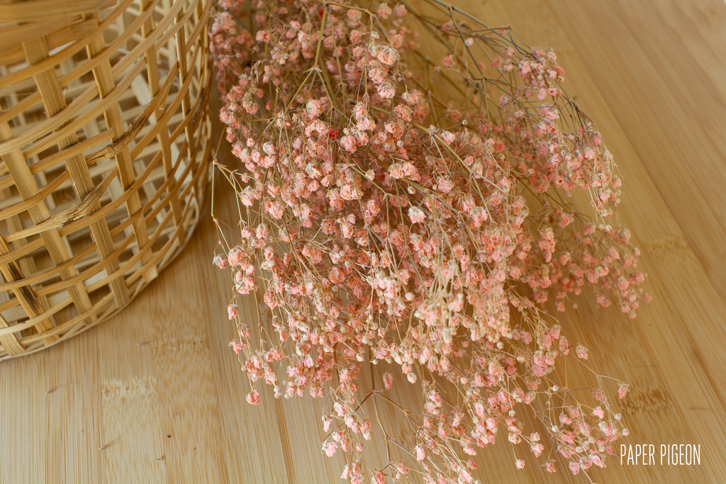 droogbloemen gipskruid roos