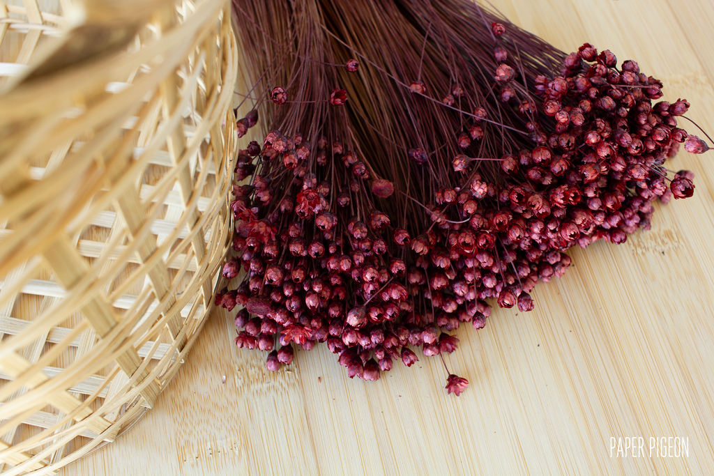 Glixia plum - per bundel