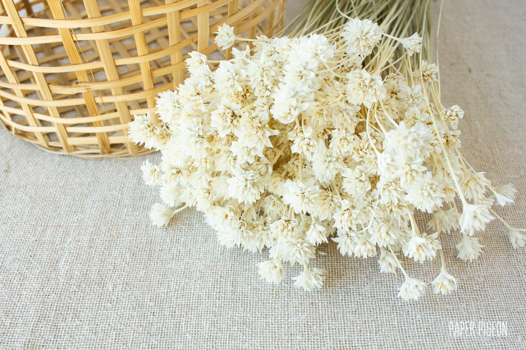 Hill flower creme - per bundel