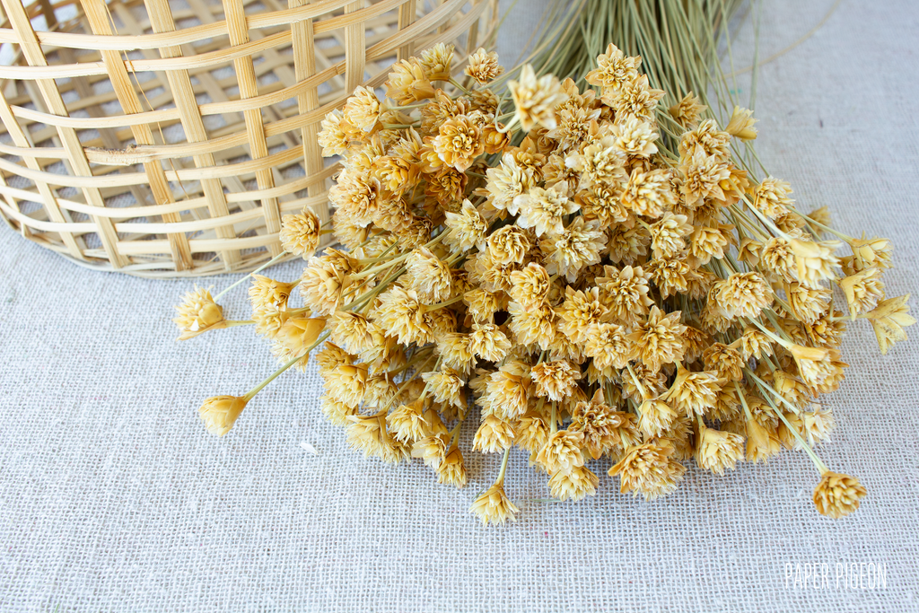 Hill flower naturel - per bundel