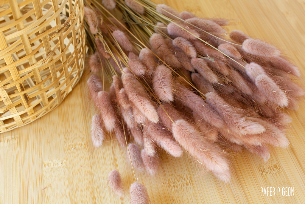 droogbloemen oudroze pluimpjes lagurus voor doopsuiker bruinroos
