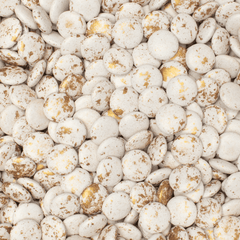 Smarties (lentilles) van DE BOCK - alle kleuren