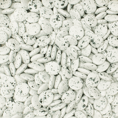 Smarties (lentilles) van DE BOCK - alle kleuren