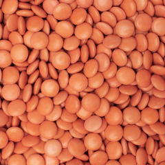Smarties (lentilles) van DE BOCK - alle kleuren