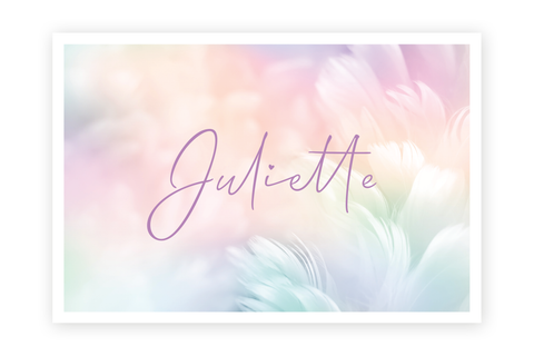 Geboortekaartje Juliette - pluimen