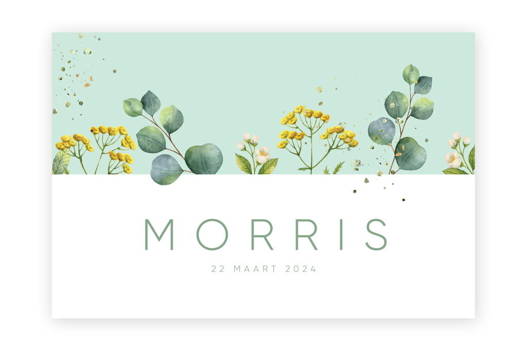 Geboortekaartje Morris - bloemen