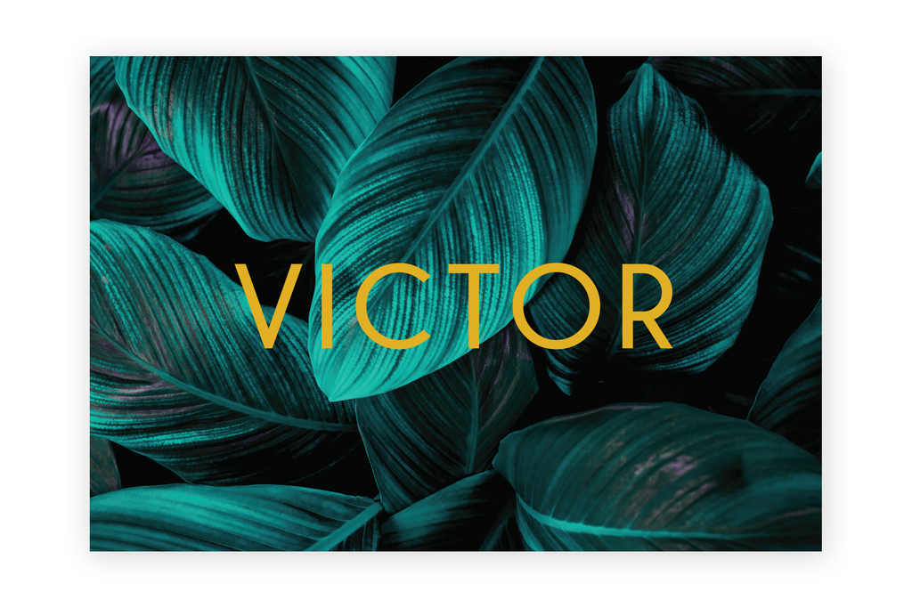 Geboortekaartje Victor - jungle