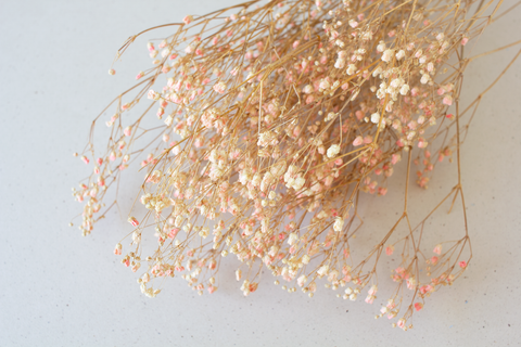 Gipskruid roos - per bundel