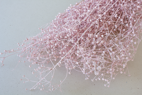 Gipskruid roos - per bundel