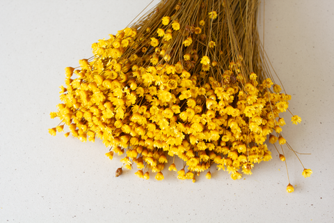 Glixia geel - per bundel