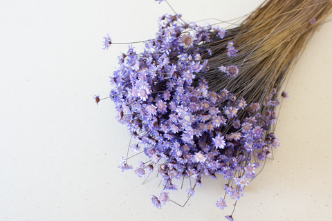 Glixia lila - per bundel