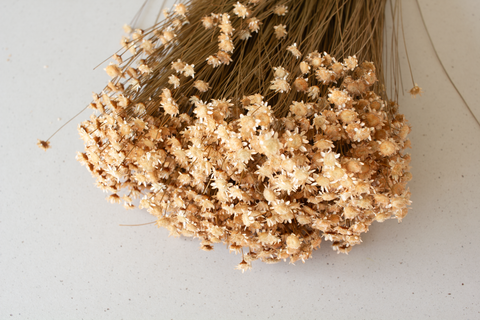 Glixia zalm / peach - per bundel