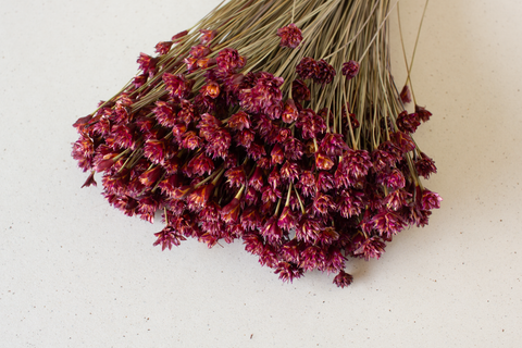 Hill flower framboos - per bundel