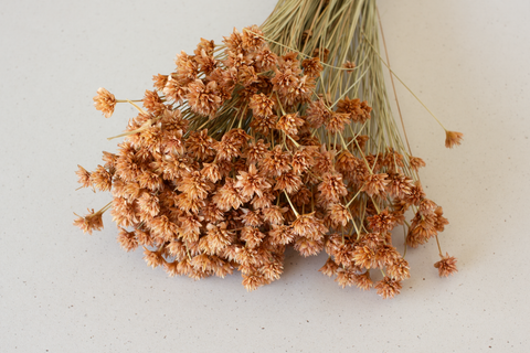 Hill flower cayenne / peach - per bundel