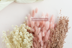 Lagurus lichtroos - per bundel