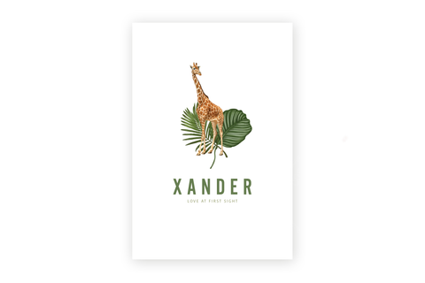 Geboortekaartje Xander - giraf
