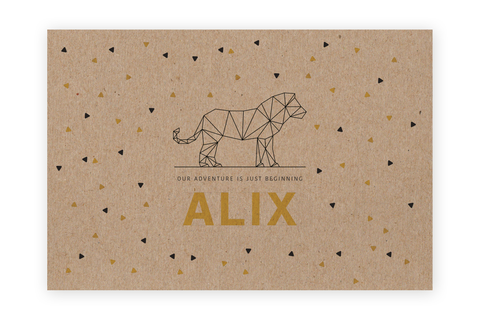 Geboortekaartje Alix - leeuw