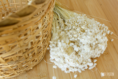 droogbloemen glixia fijne bloemetjes wit