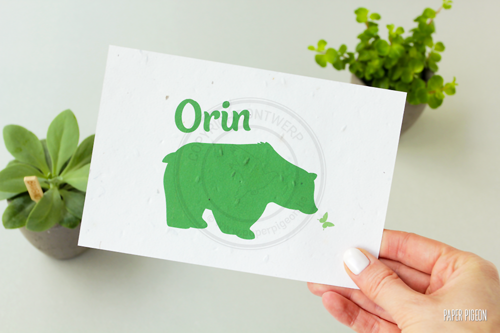 Geboortekaartje Orin - groeipapier