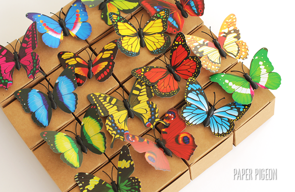 Vlinderdoosje - verschillende kleuren - per 10 ex.  - Paper Pigeon